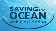 Saving the Ocean