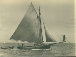 Swordfish7